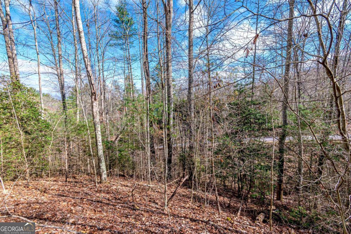 Mineral Bluff, GA 30559,LOT 43 Dusty Danno TRL