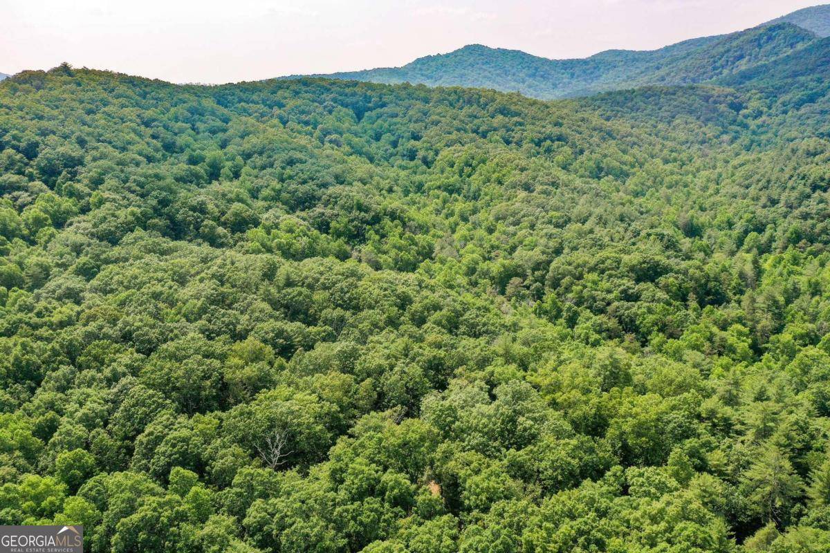 Ellijay, GA 30540,0 Flagpole Circle