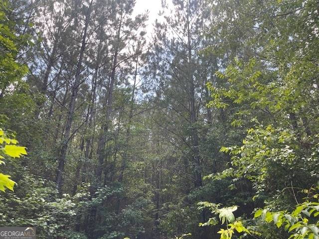 Franklin, GA 30217,TRACT 4 Sheppard RD