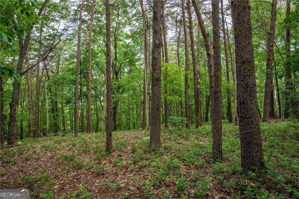 Jasper, GA 30143,206R Mystic Trail LN