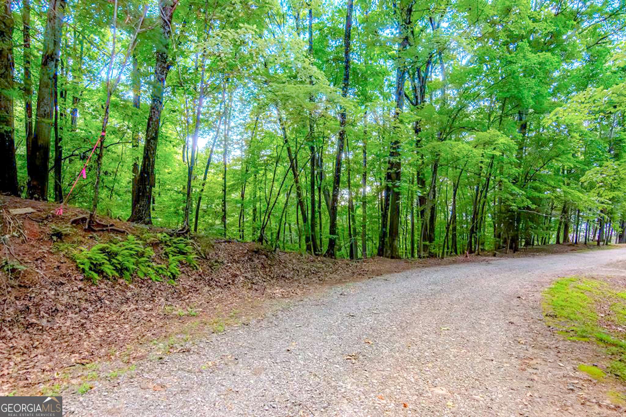 Ellijay, GA 30540,LT J349 Walnut Mountain