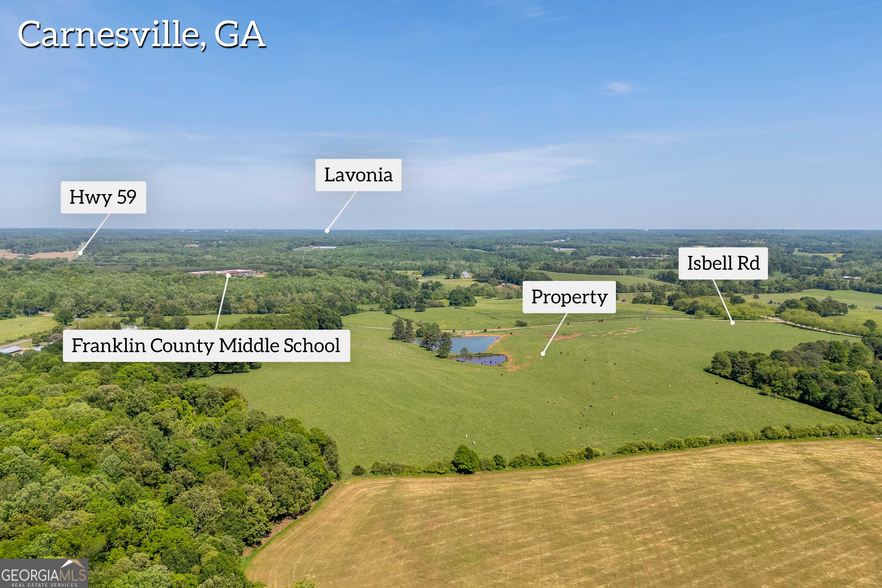 Carnesville, GA 30521,000 Turkey Creek