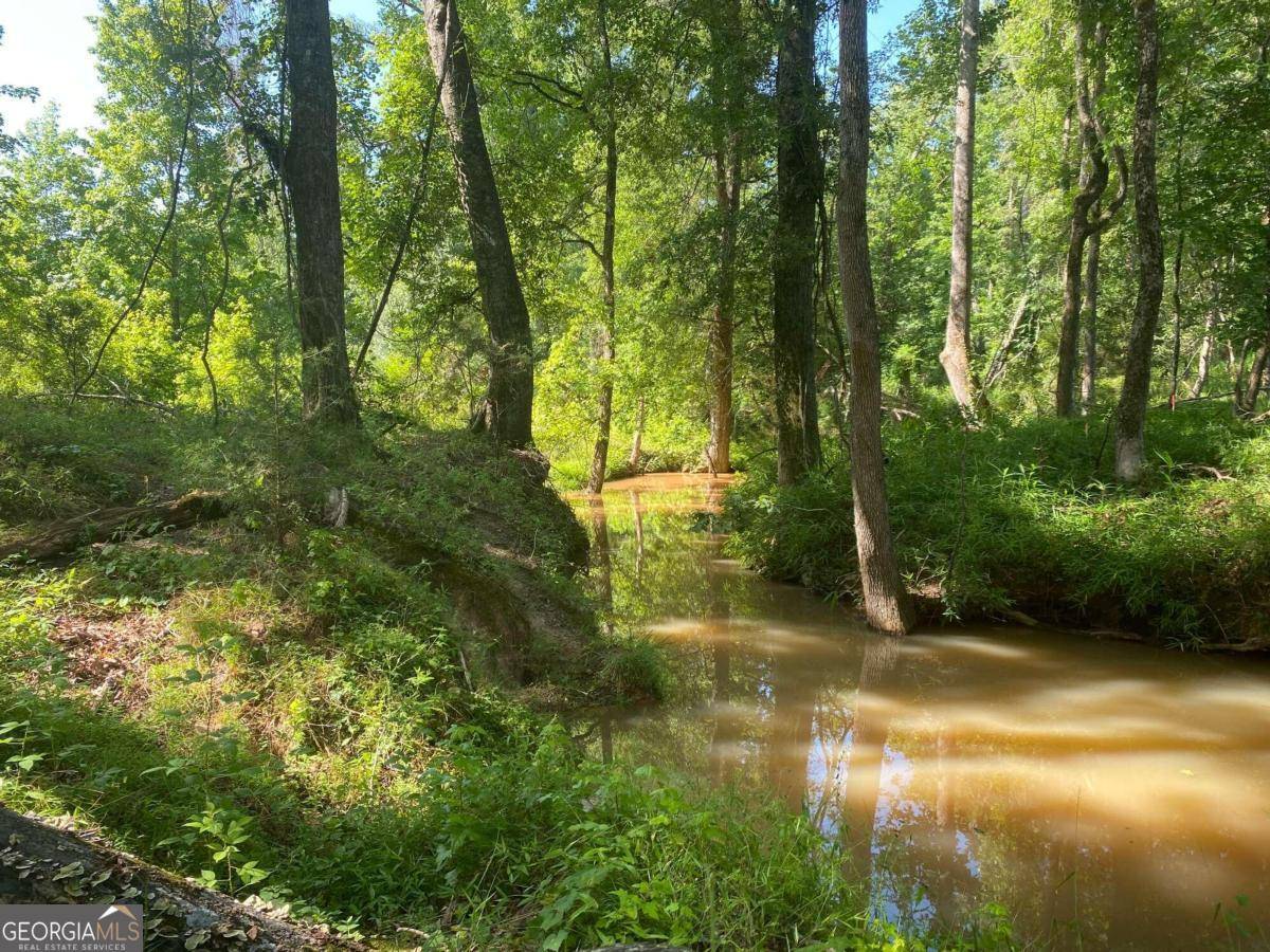 Bogart, GA 30622,1710 Whistling Creek XING #LOT 18