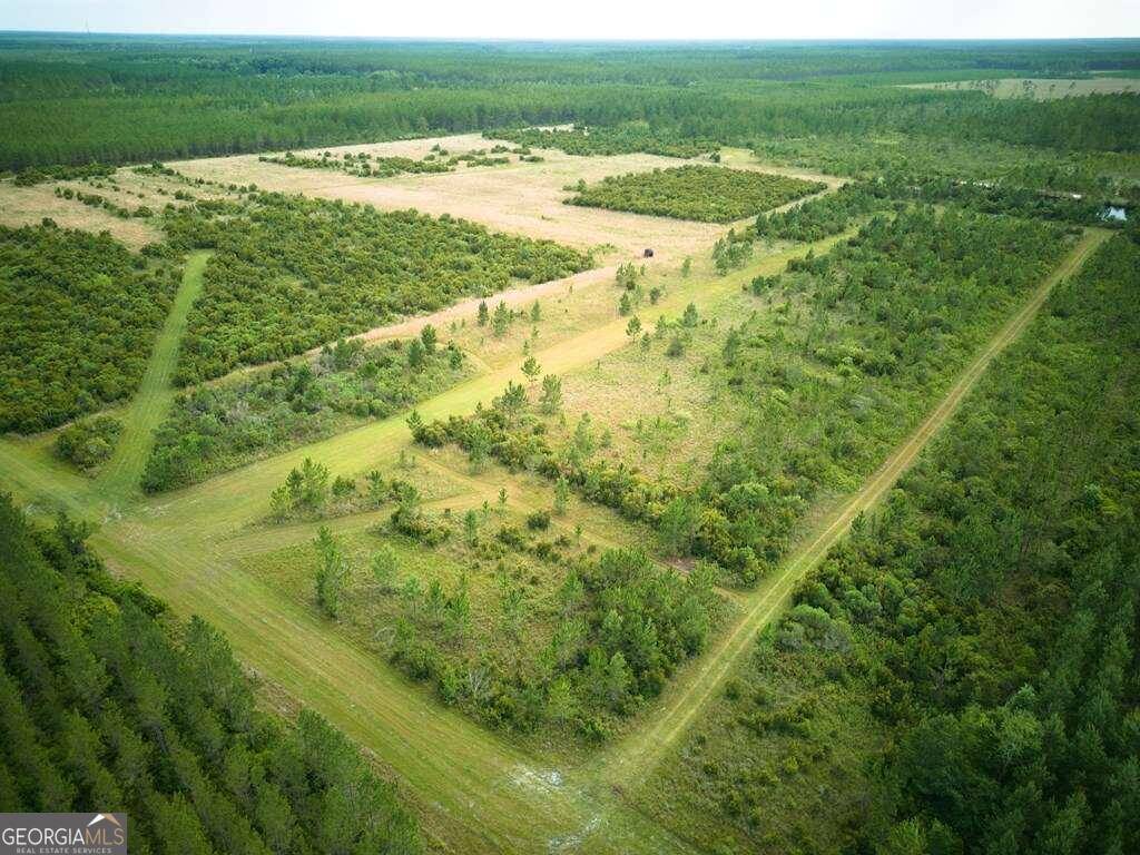 Waycross, GA 31503,0 Ammons RD