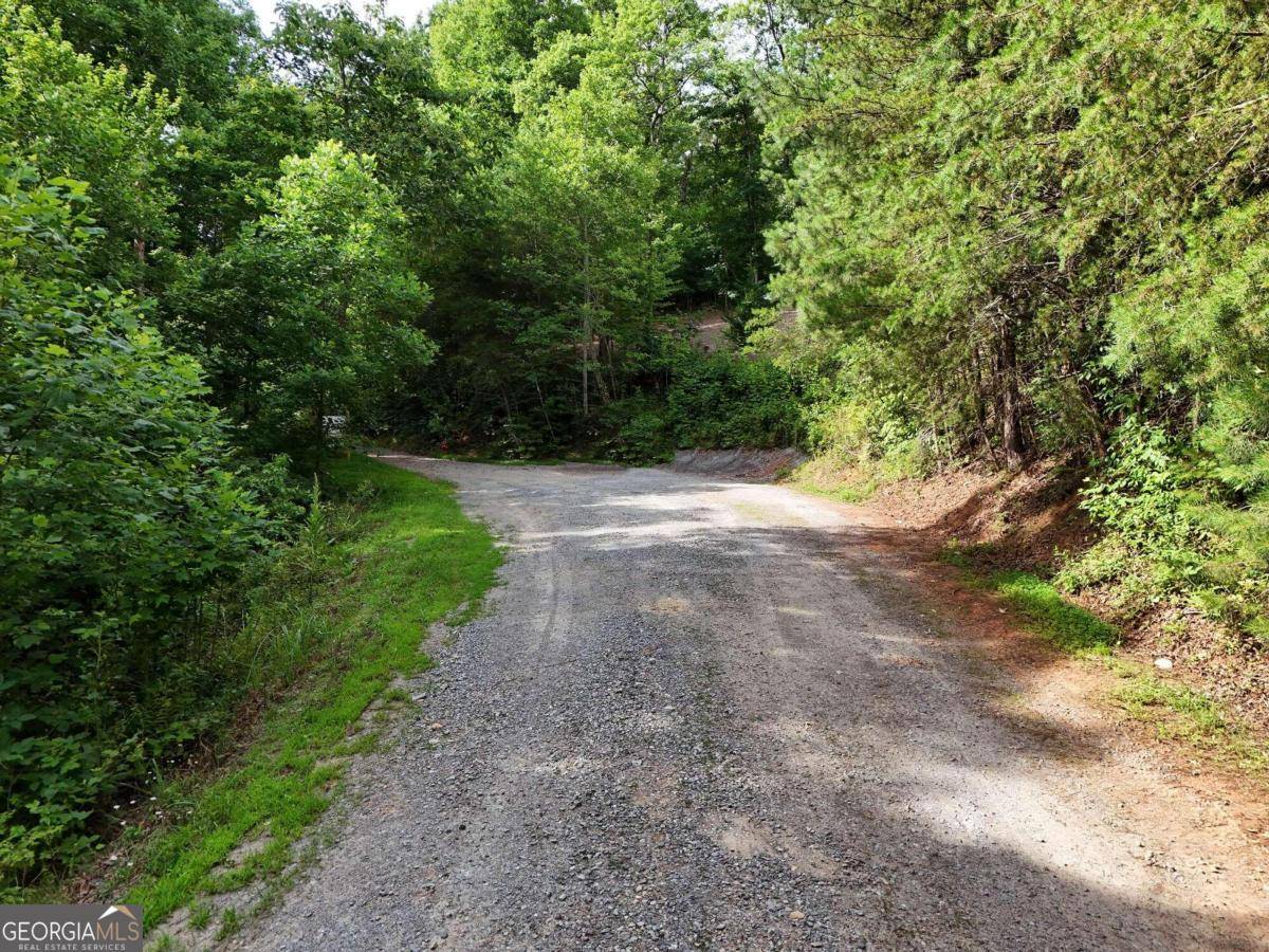 Blue Ridge, GA 30513,LOT 25 Toccoa Preserve