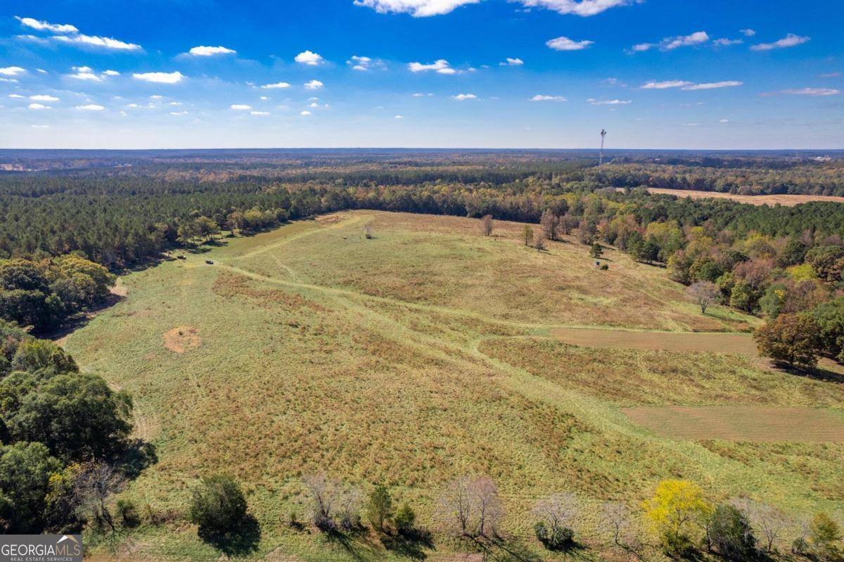 Madison, GA 30650,LOT 10 Wallace RD