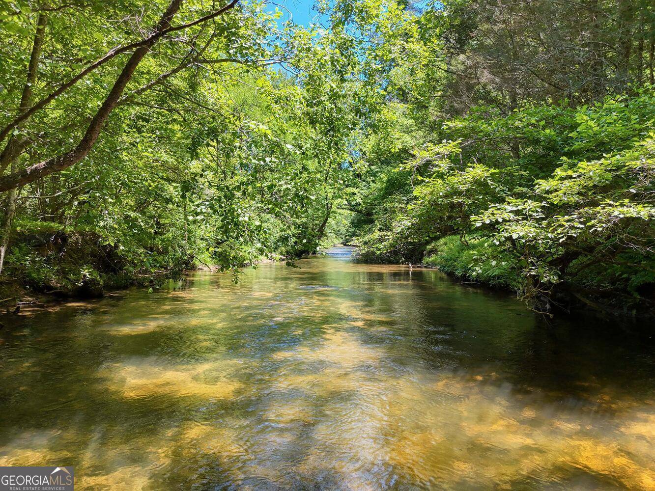 Suches, GA 30572,LOT 6 Coopers Creek DR