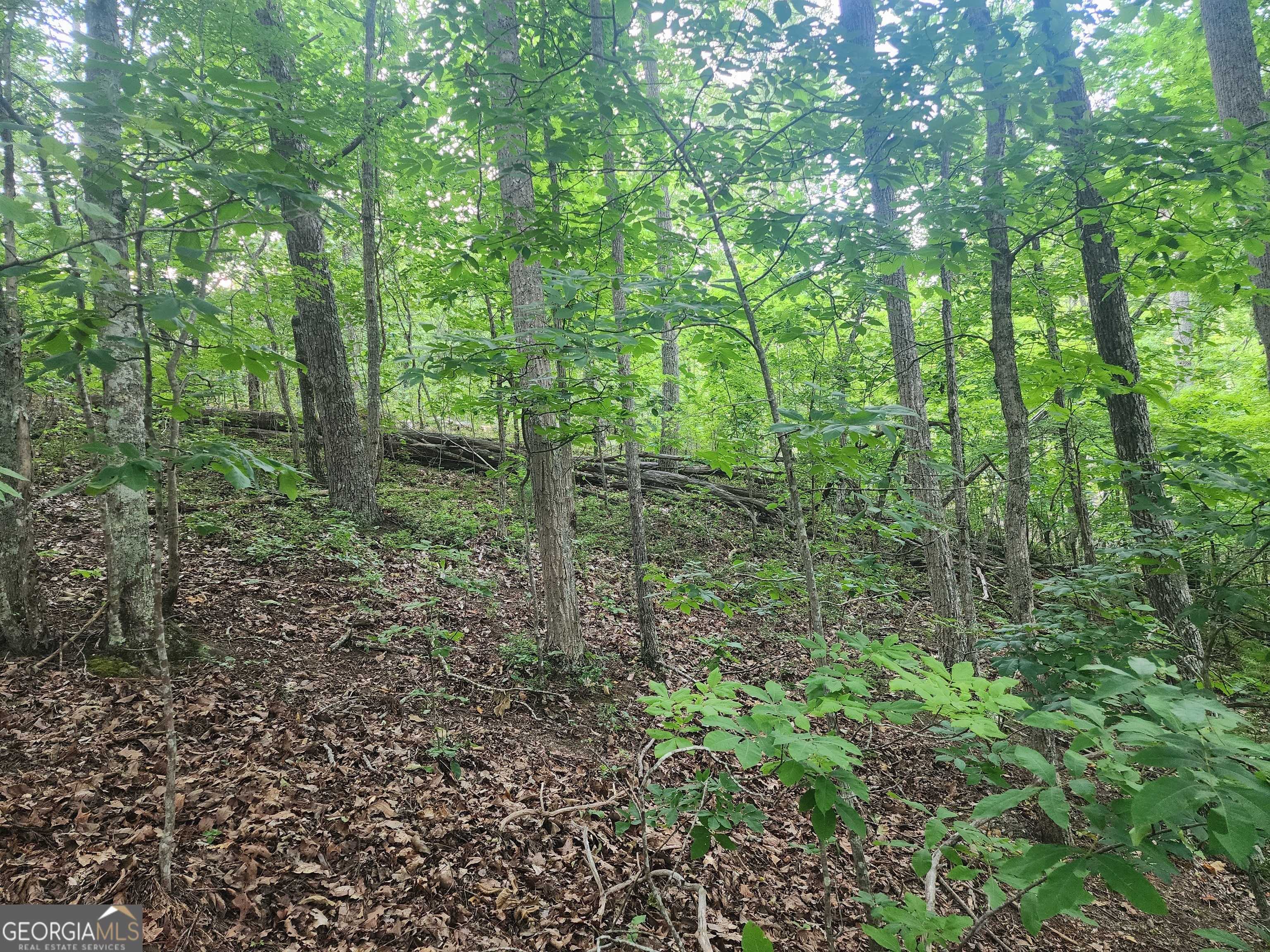 Ranger, GA 30734,932 Apex CT