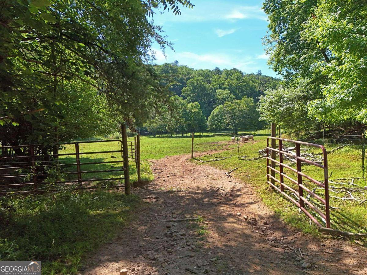 Blairsville, GA 30512,0 Mount Pleasant Church RD #13.4AC