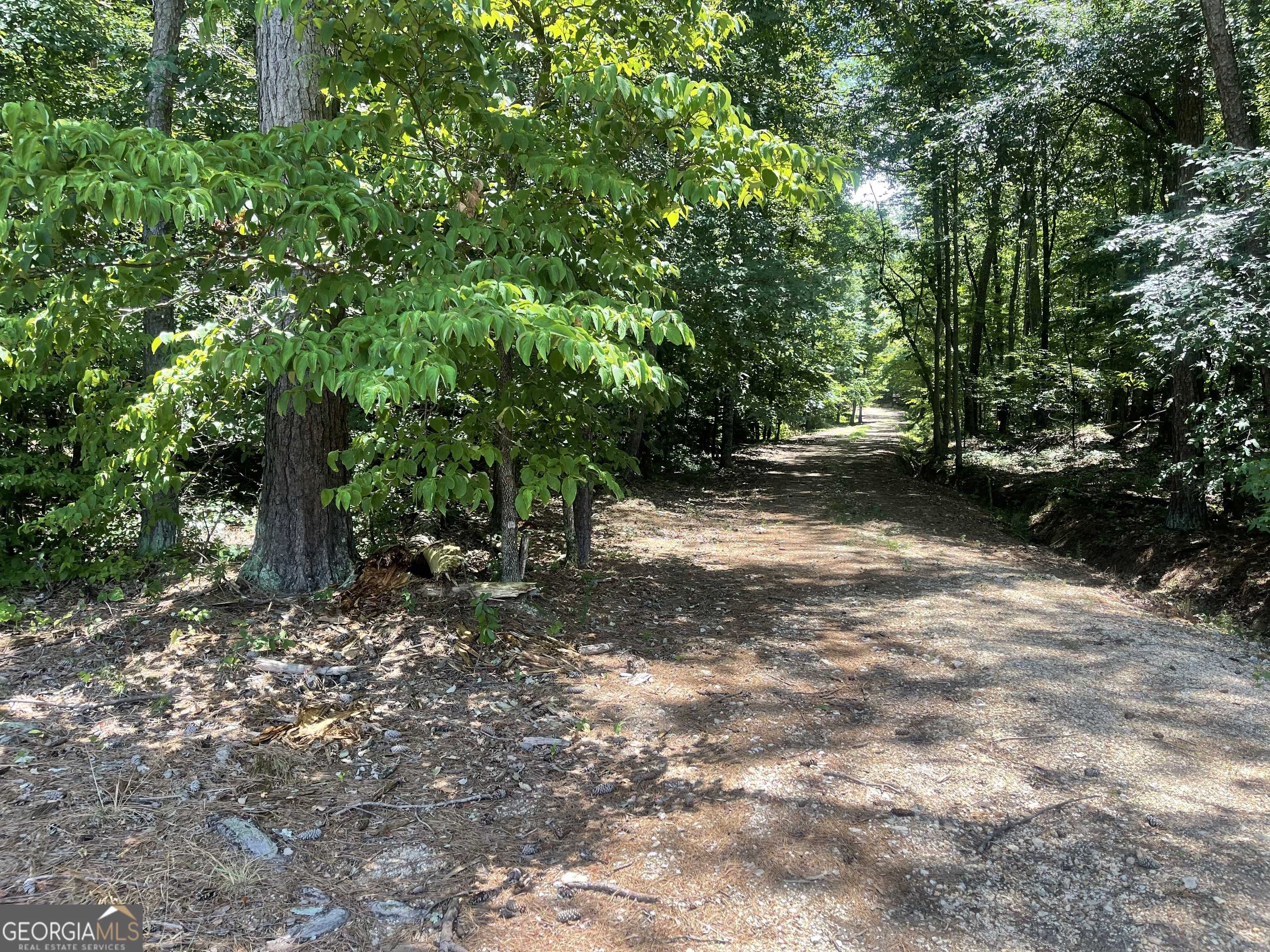Summerville, GA 30747,0 White Oak RD