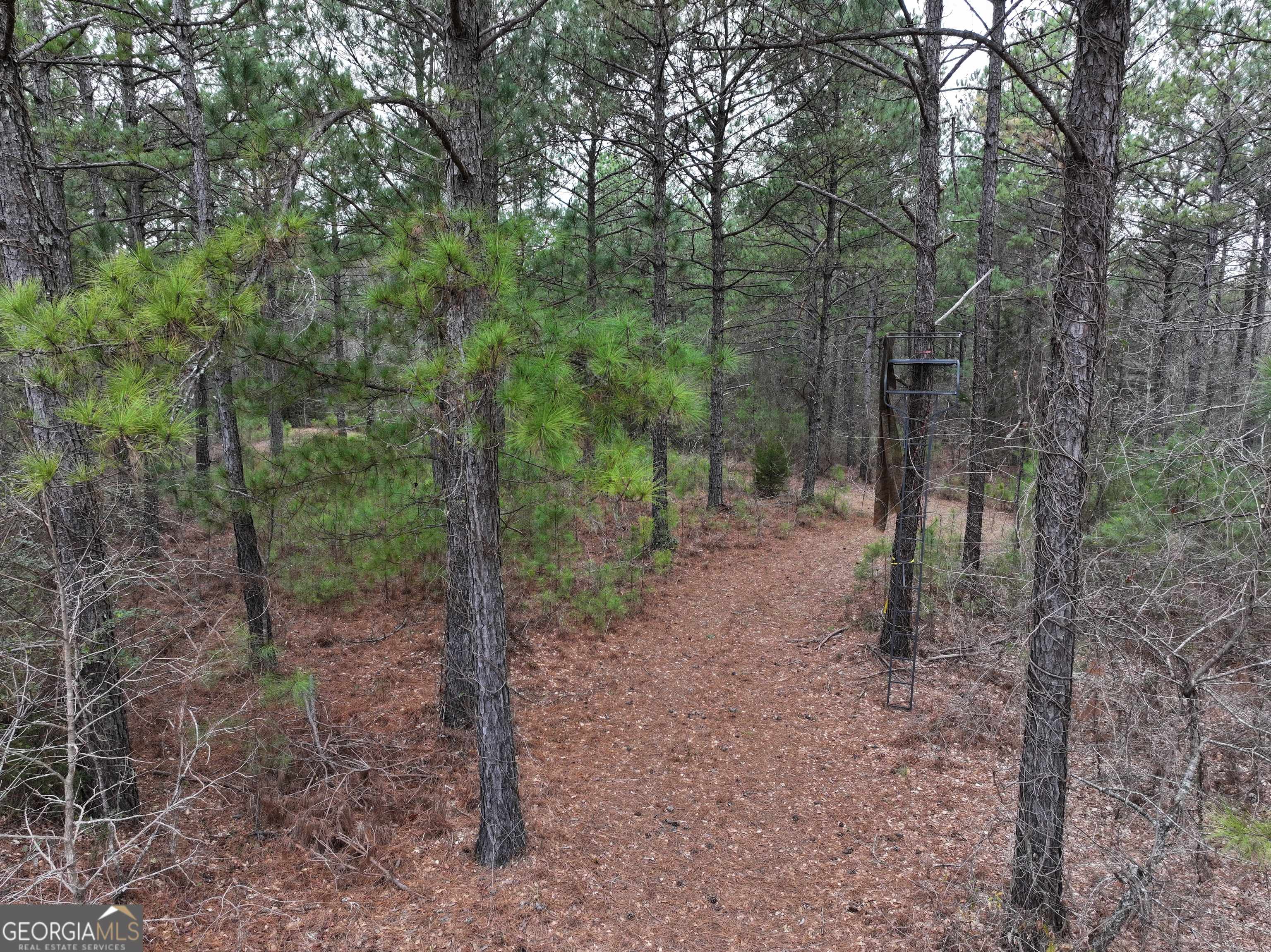 Barnesville, GA 30204,0 Possum Trot