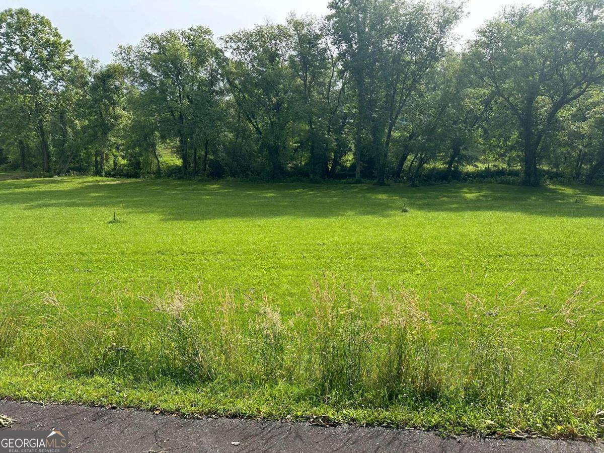 Warne, NC 28909,LOT 56 Prosperity DR