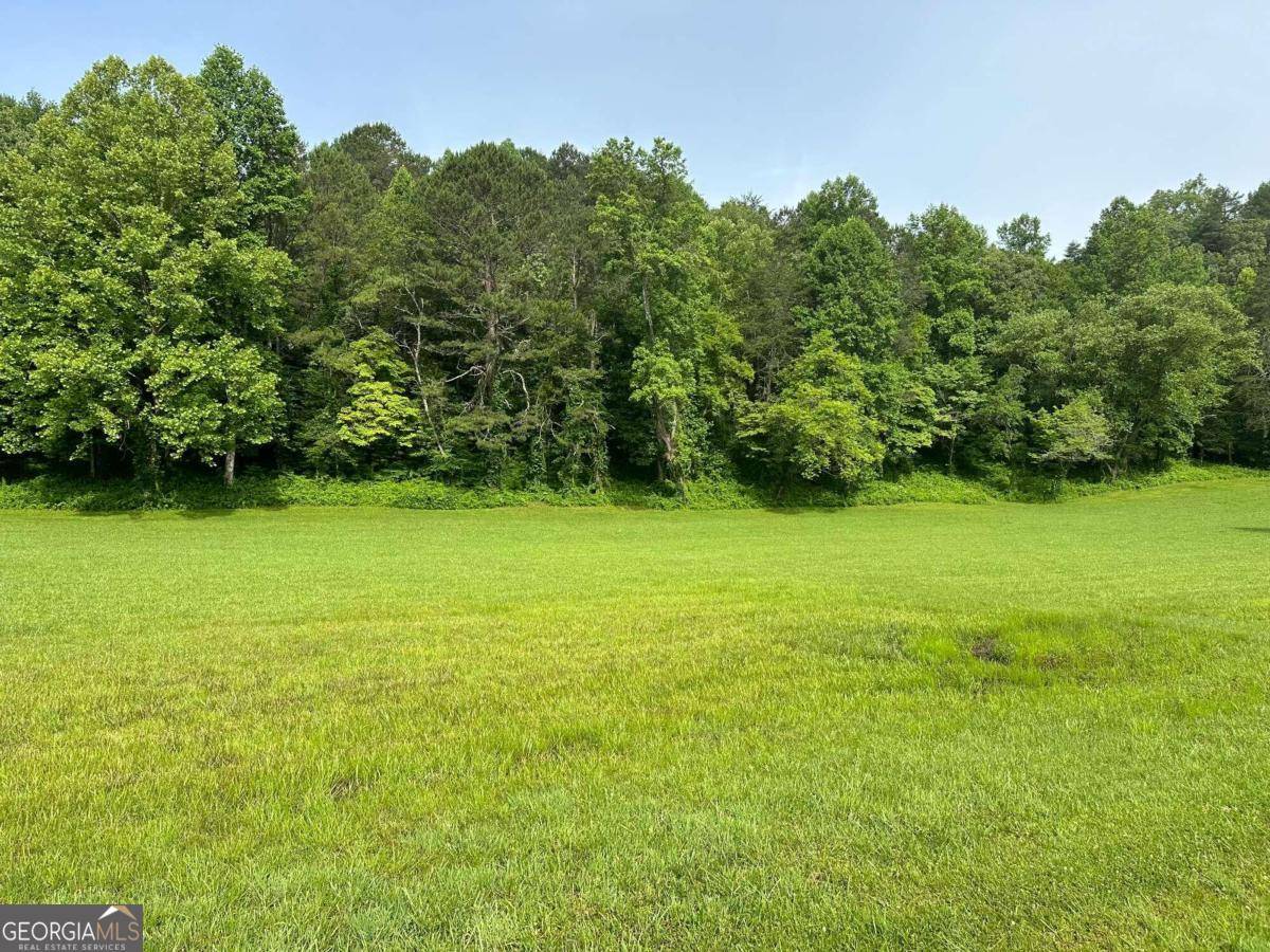 Warne, NC 28909,LOT 46 Prosperity DR