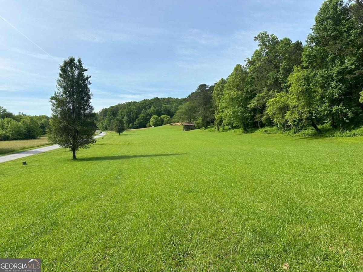 Warne, NC 28909,LOT 44 Prosperity DR