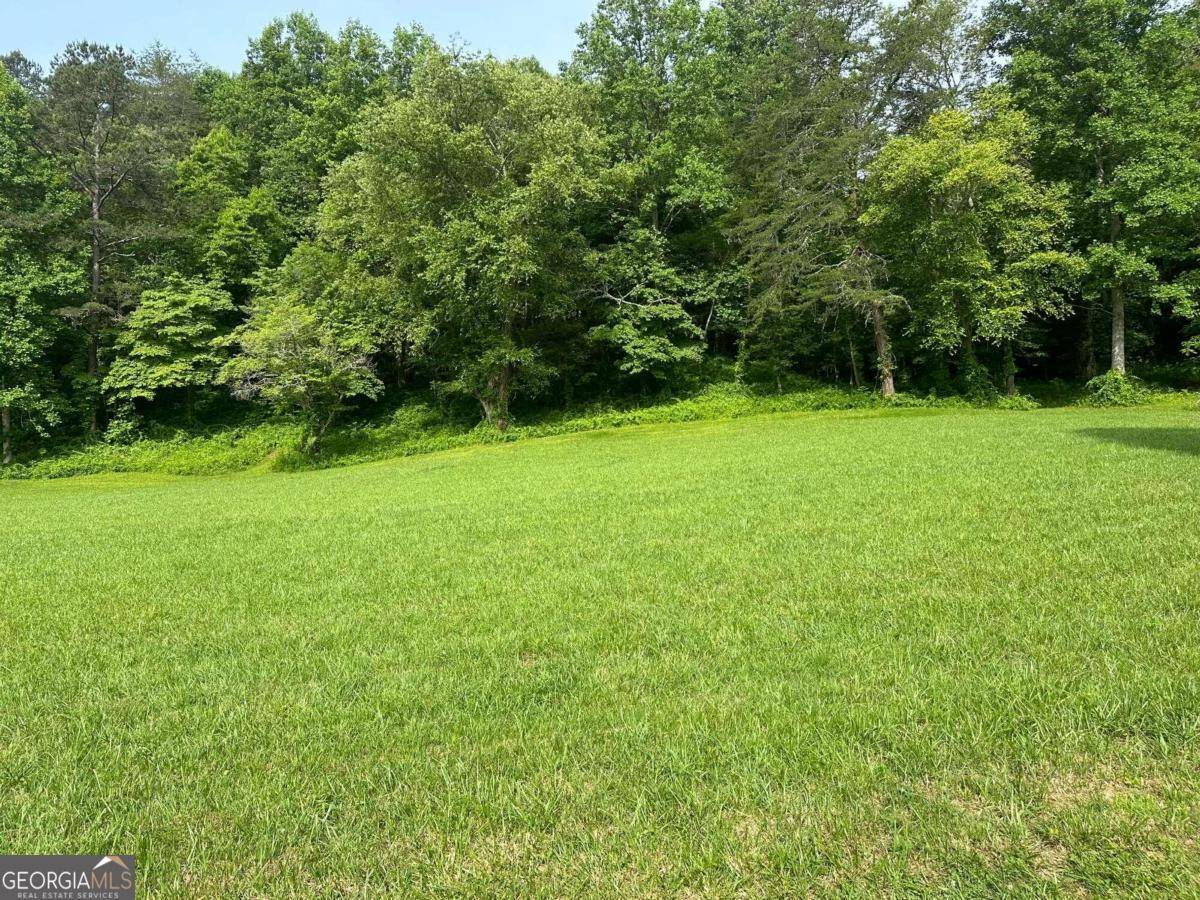 Warne, NC 28909,LOT 44 Prosperity DR