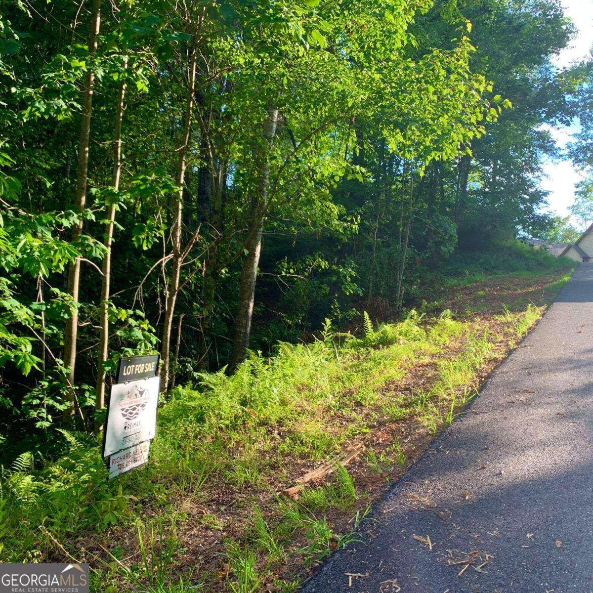 Warne, NC 28909,LOT 12 Cricket LN