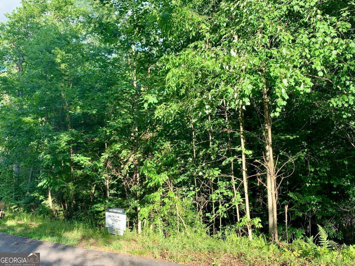 Warne, NC 28909,LOT 12 Cricket LN