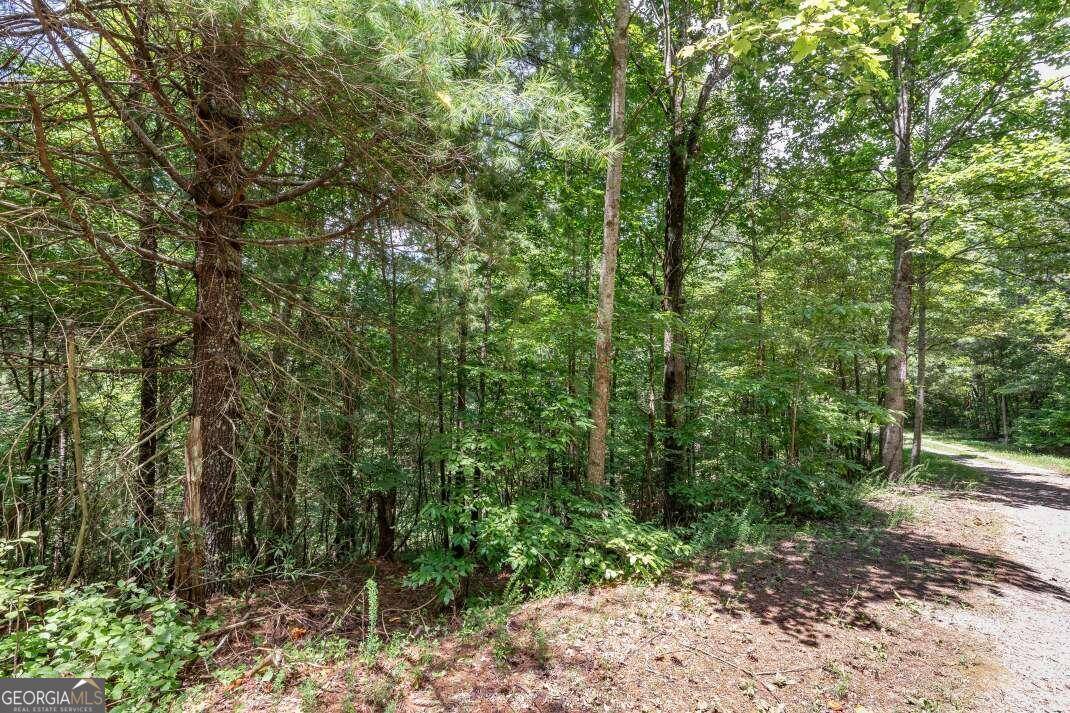 Talking Rock, GA 30175,LOT 1687 Shade Tree