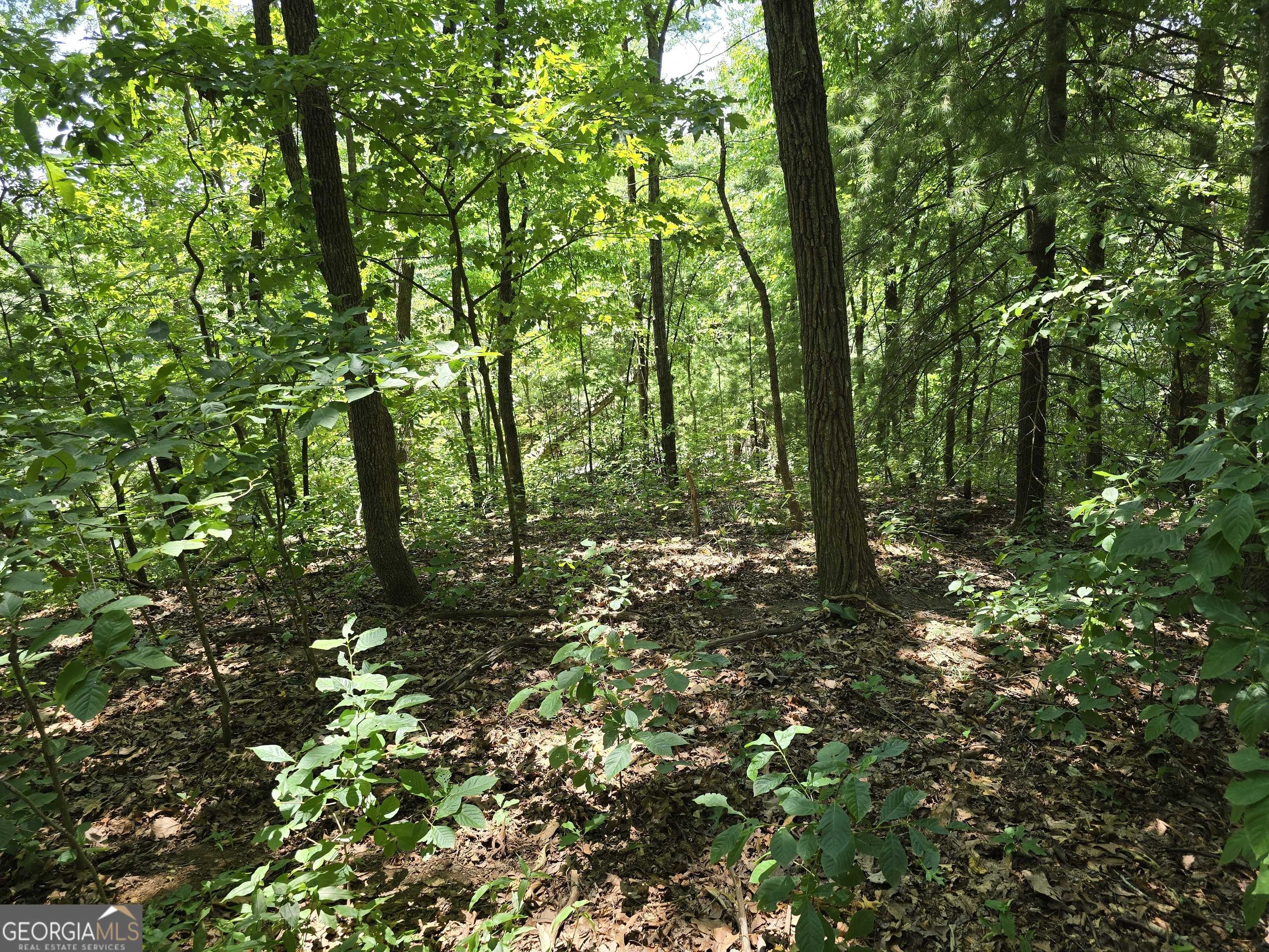 Clayton, GA 30525,0 Lancelot LOOP