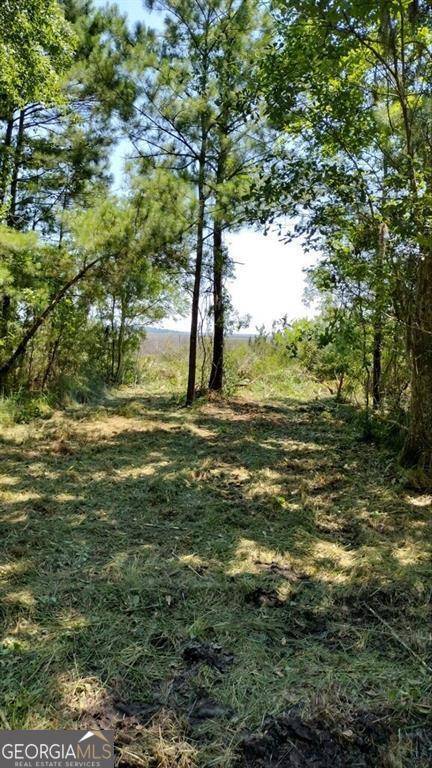 Townsend, GA 31331,0 Briar Patch Lot #28 PL