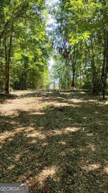 Townsend, GA 31331,0 Briar Patch Lot #29 PL