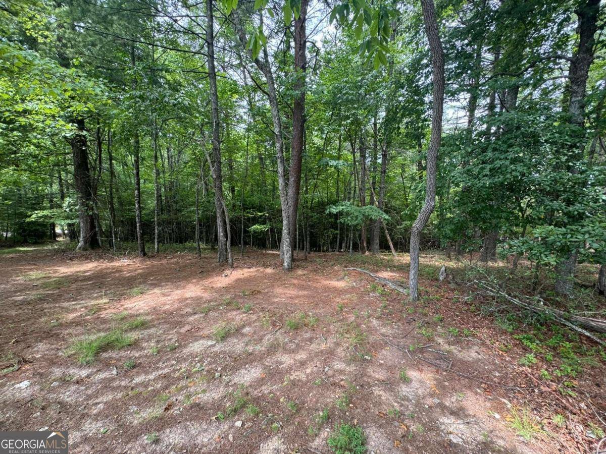 Murphy, NC 28906,LOT 1 Laurelwood