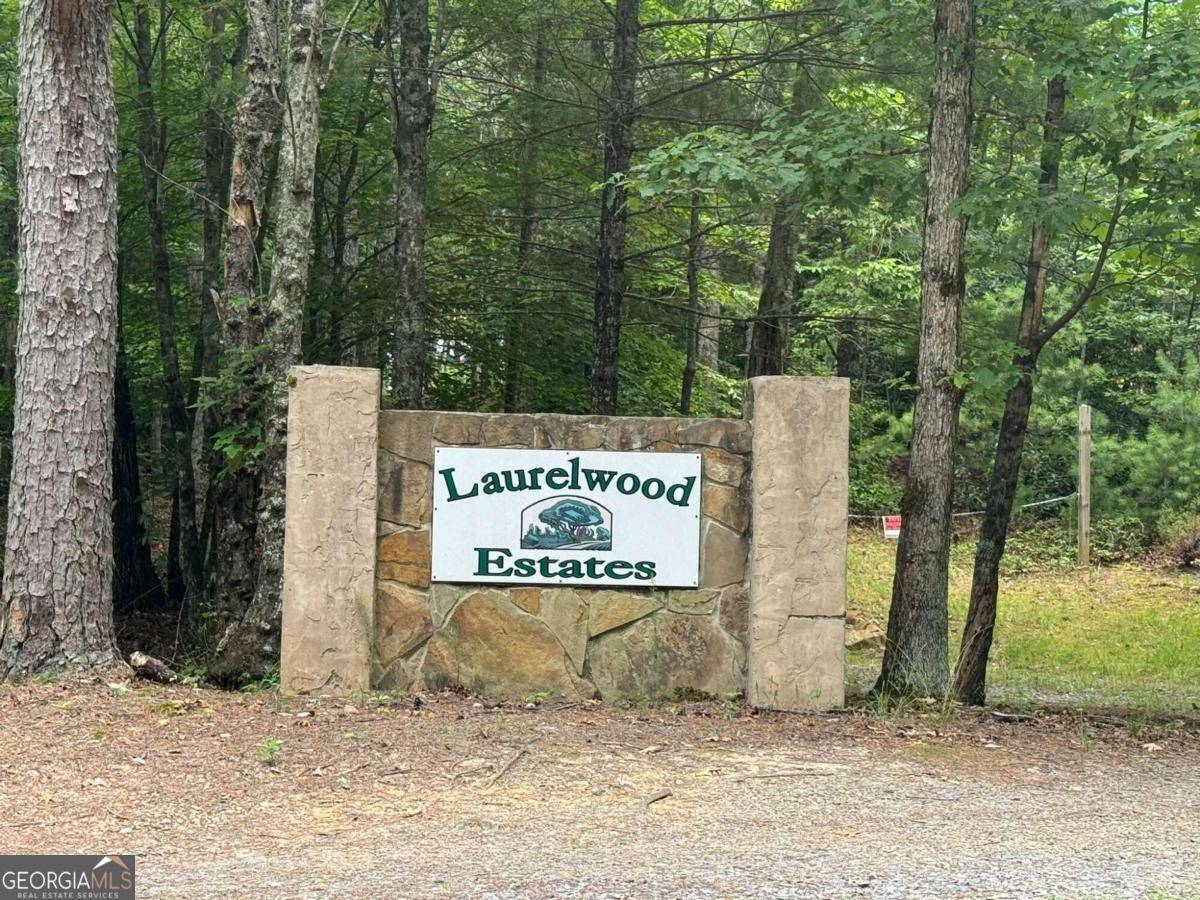 Murphy, NC 28906,LOT 1 Laurelwood