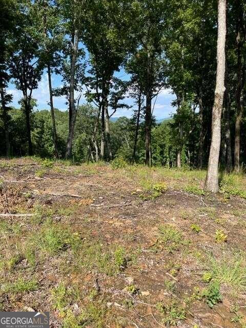 Blairsville, GA 30512,LOT 119 Highland Park