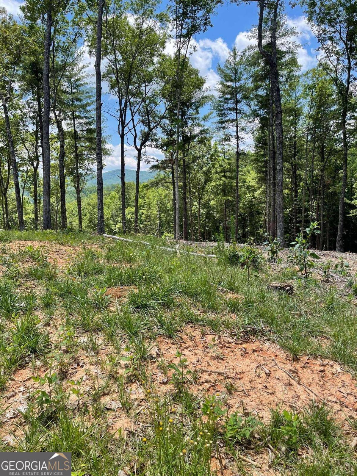 Morganton, GA 30560,LOT 95 The Ridges