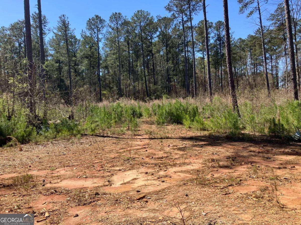 Mcdonough, GA 30252,2920 Airline Road