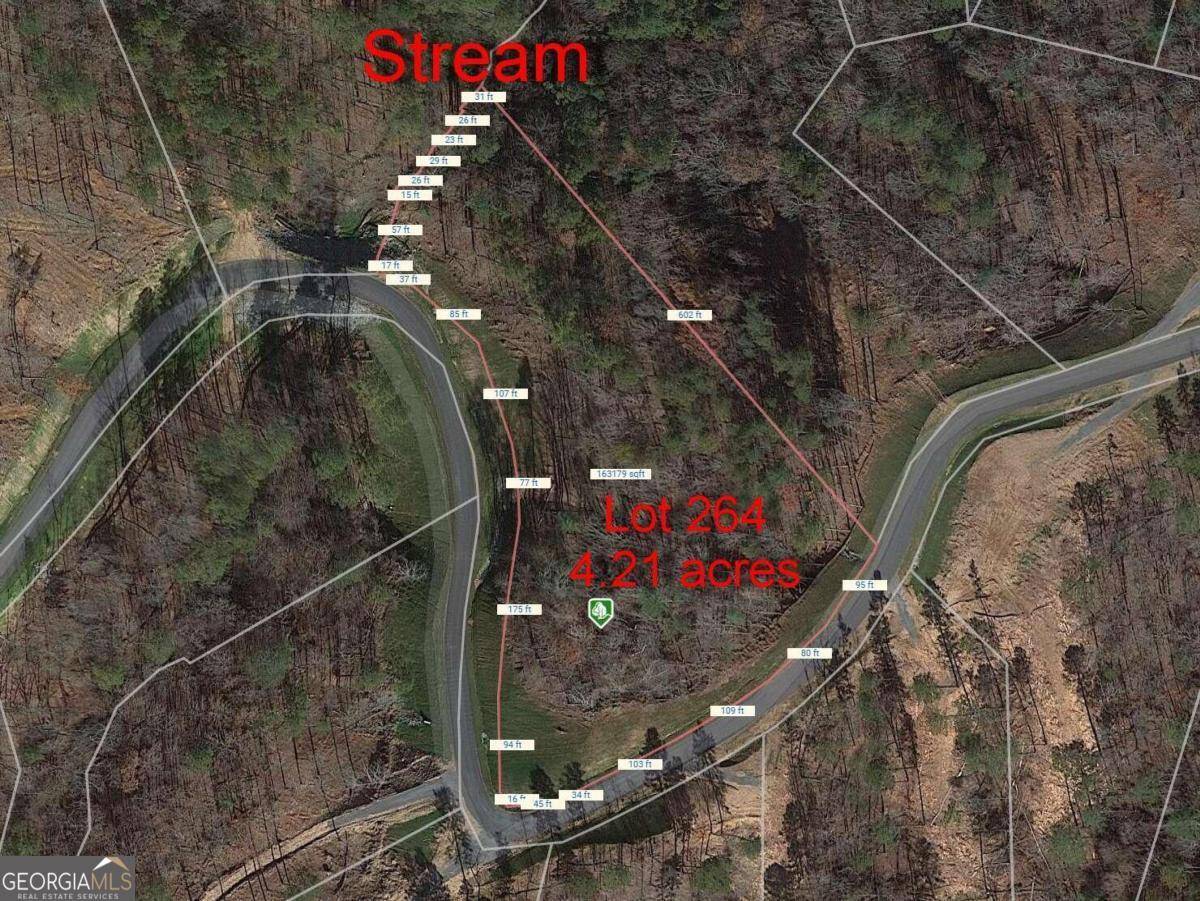 Ellijay, GA 30540,LOT264 Riverview TRL