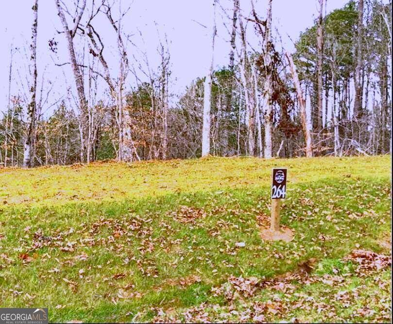 Ellijay, GA 30540,LOT264 Riverview