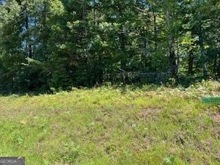 Lakemont, GA 30552,491 East Wolf Creek Tract 1