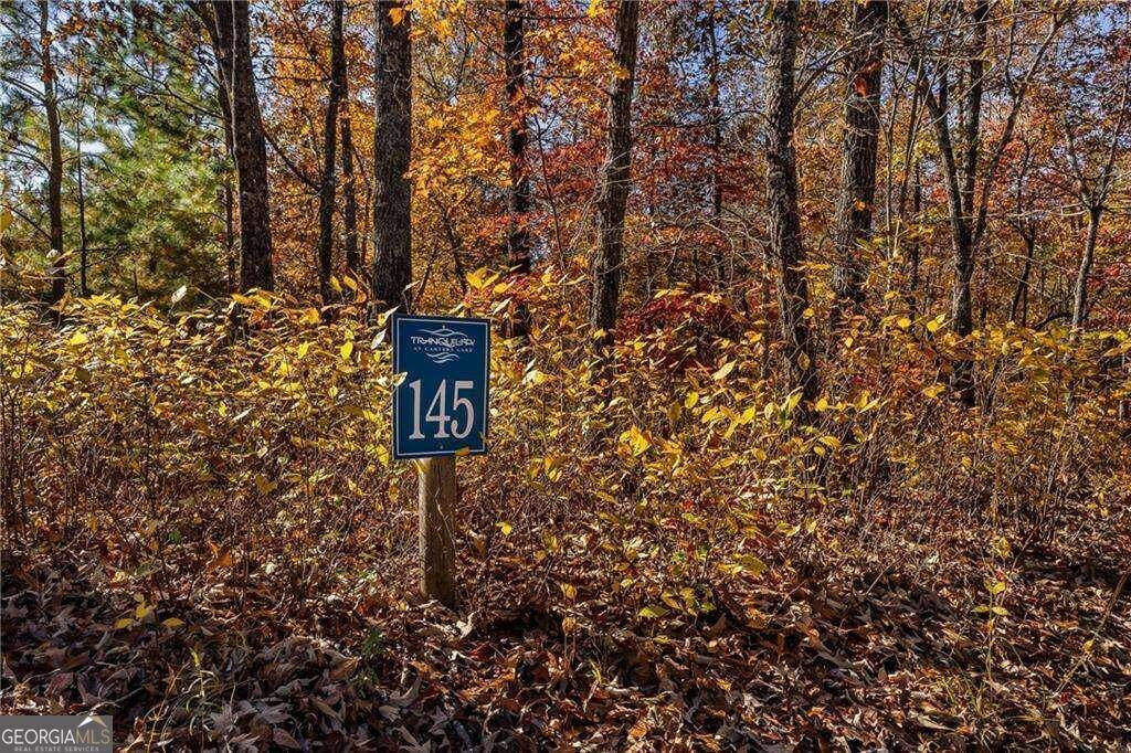 Ellijay, GA 30540,LOT145 Foxglove