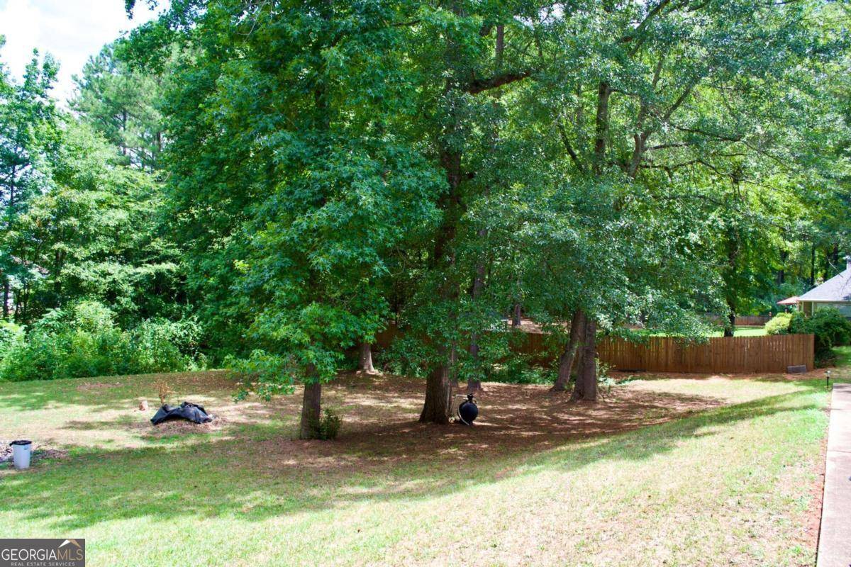 Hampton, GA 30228,110 Emerald LN