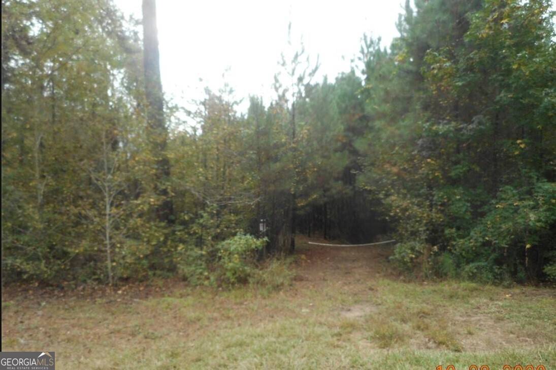 Greensboro, GA 30642,TRACT 2 Grey Land RD
