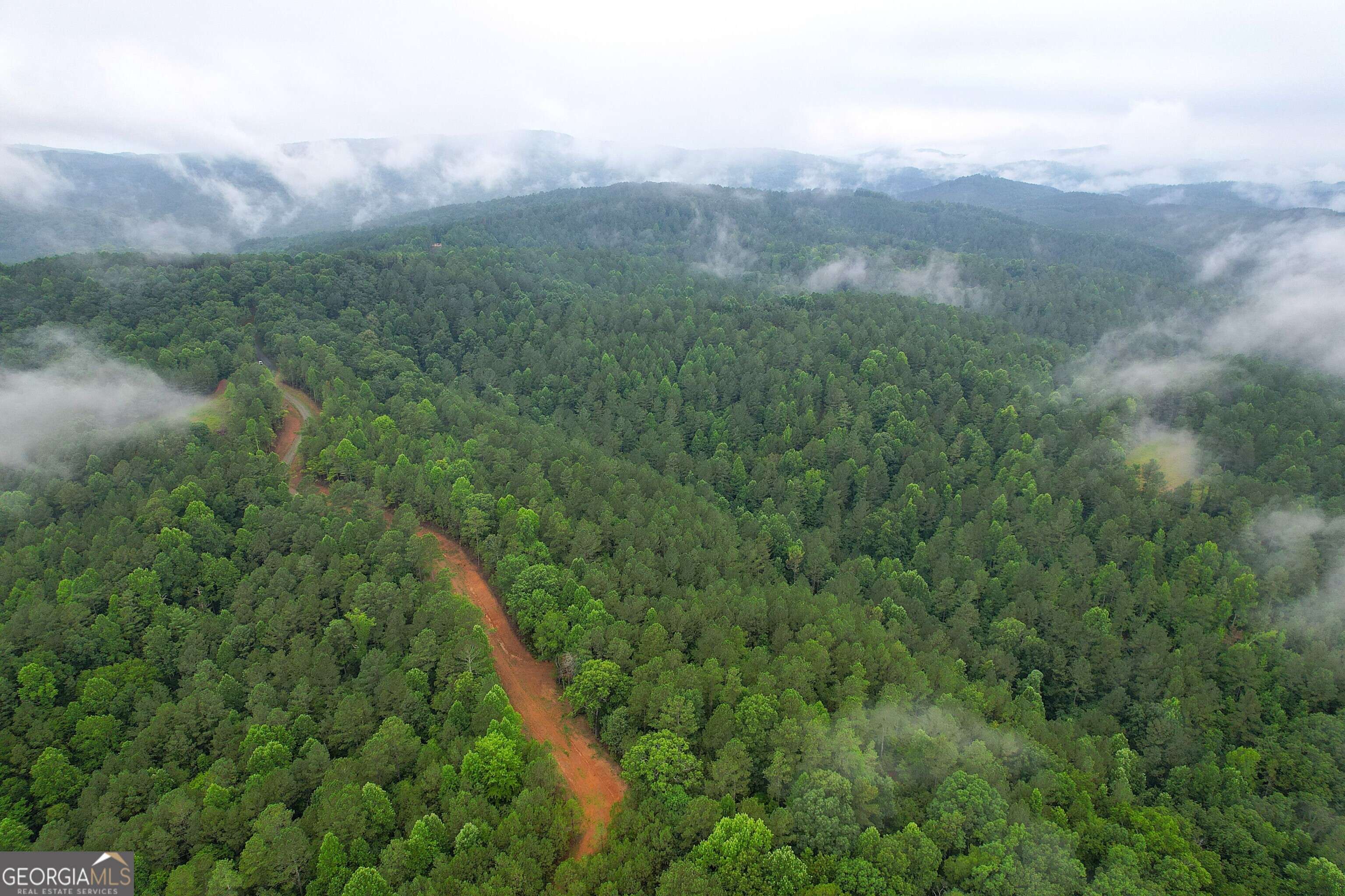 Talking Rock, GA 30175,85.1 Acres on Big Ridge Rd.