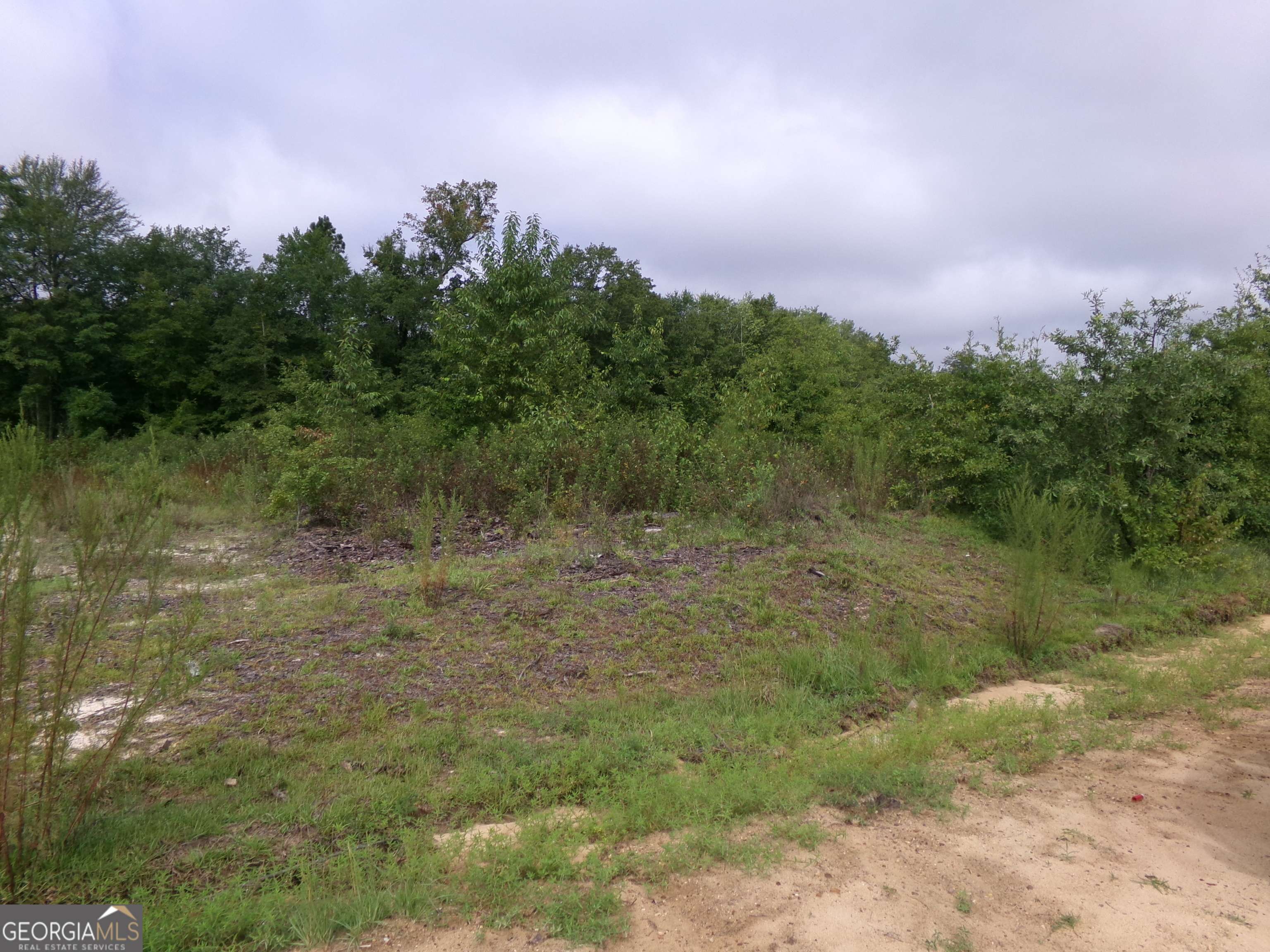 Swainsboro, GA 30401,LOT 2 MIMOSA RD #LOT 2