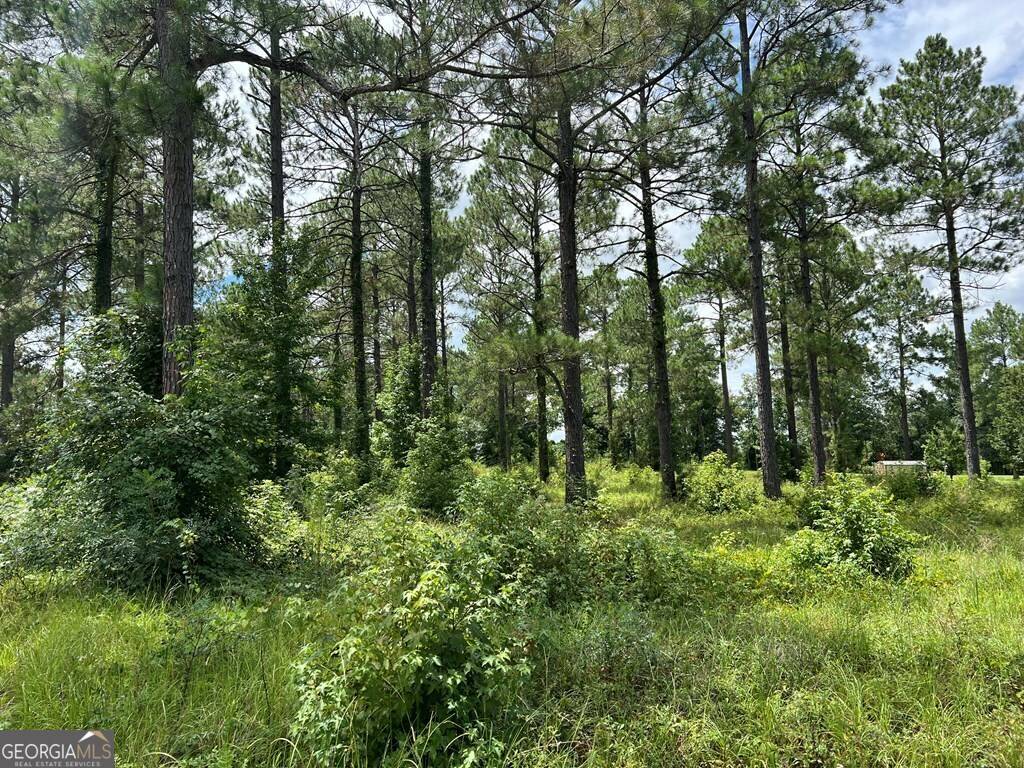 Dublin, GA 31021,0 Julianne DR