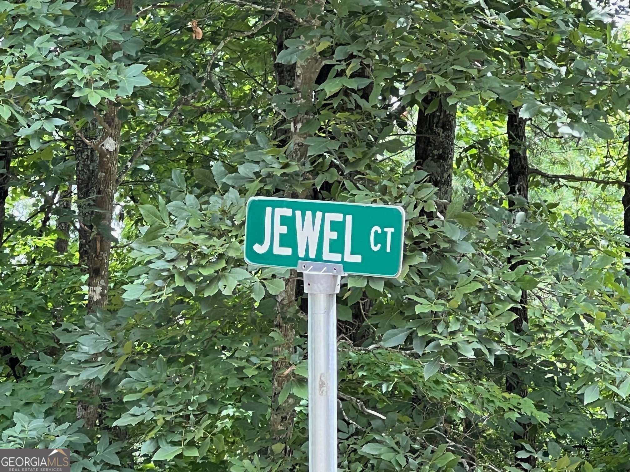 Ranger, GA 30734,1267 Jewel