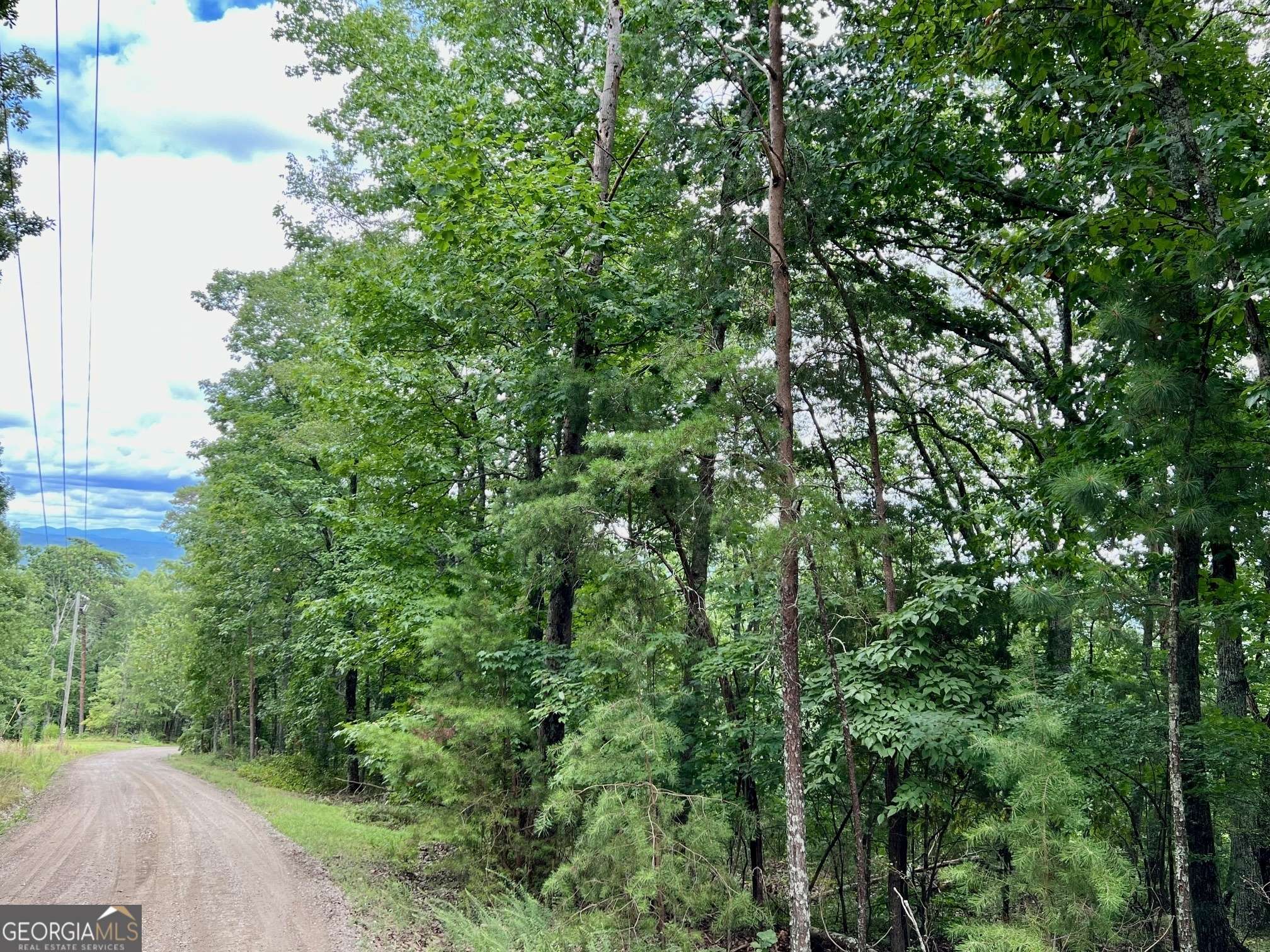 Ranger, GA 30734,1267 Jewel CT