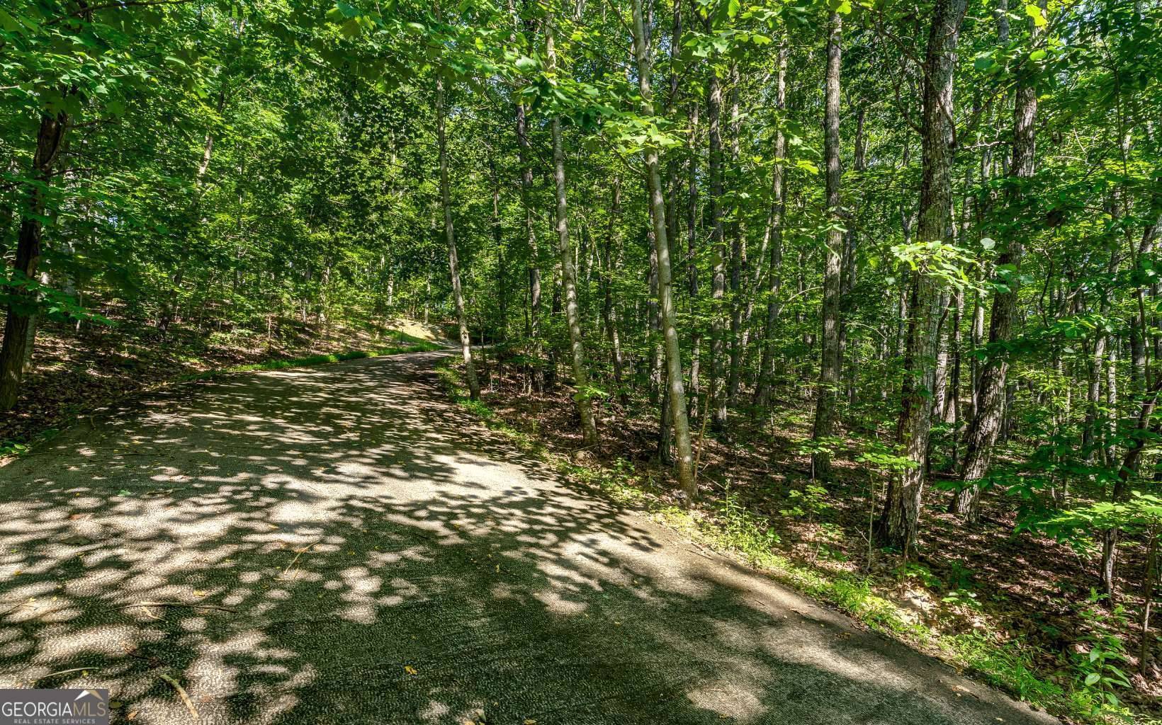 Blairsville, GA 30512,L11 Mattie LN