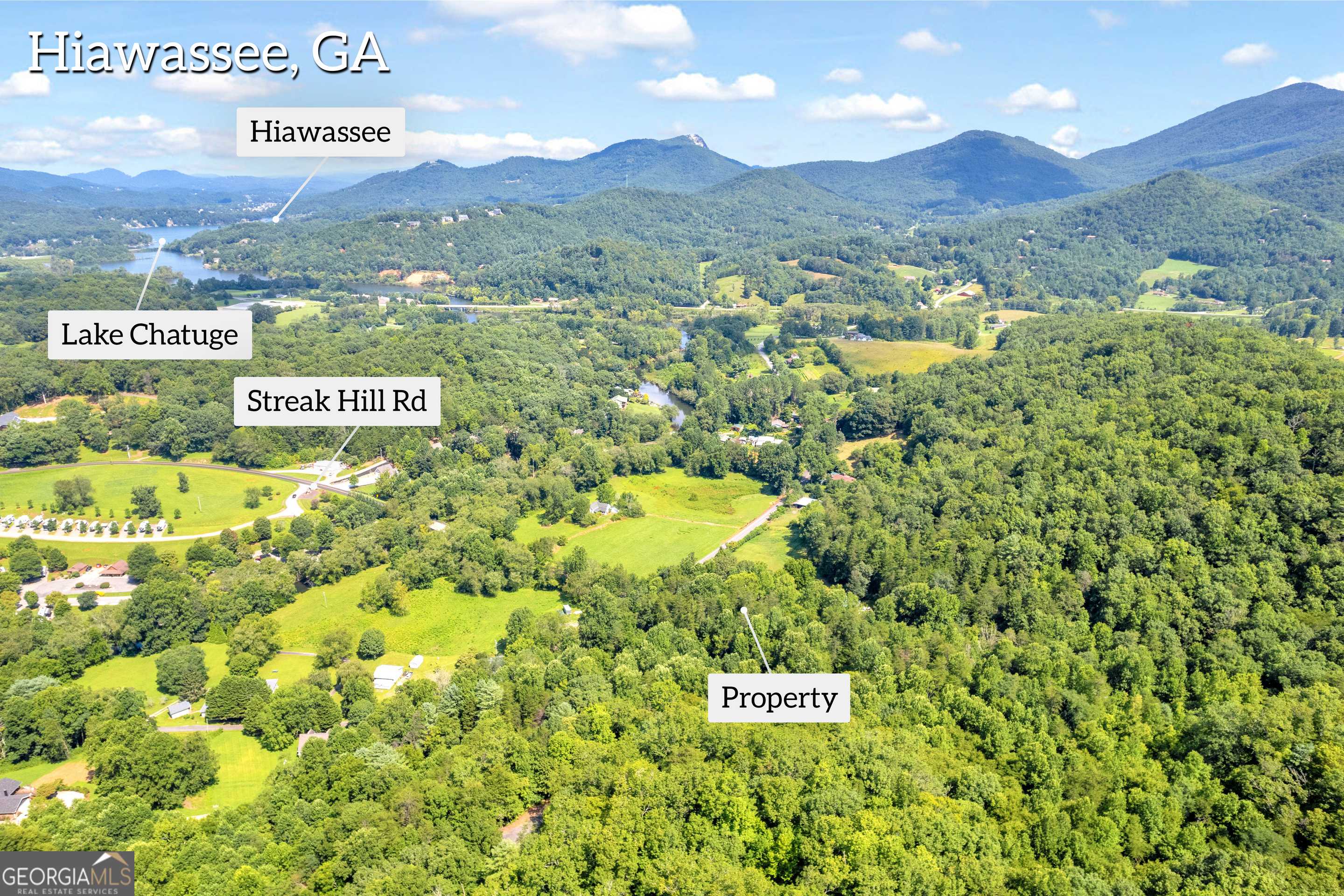 Hiawassee, GA 30546,20.4 ACRES Kelley