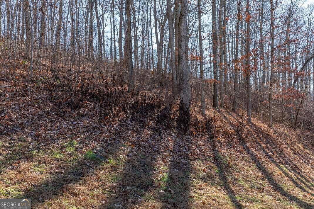 Young Harris, GA 30582,LT 24 Rocky Knob EST