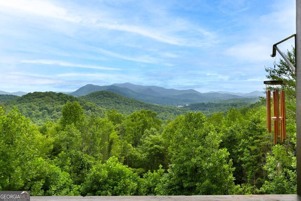Hiawassee, GA 30546,1047 Hidden Summit RD
