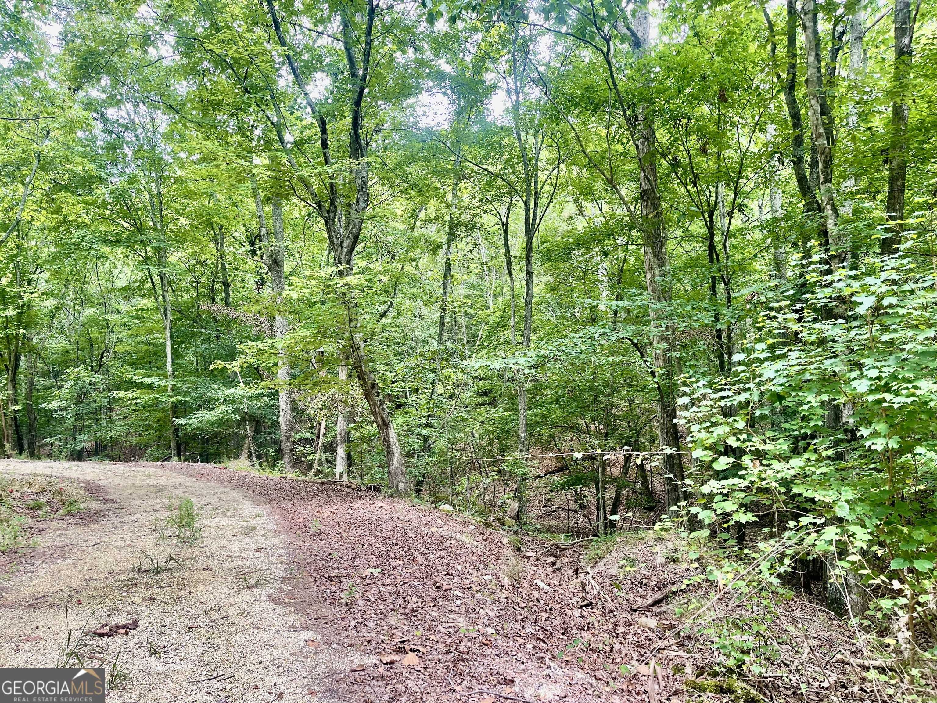 Summerville, GA 30747,0 White Oak RD