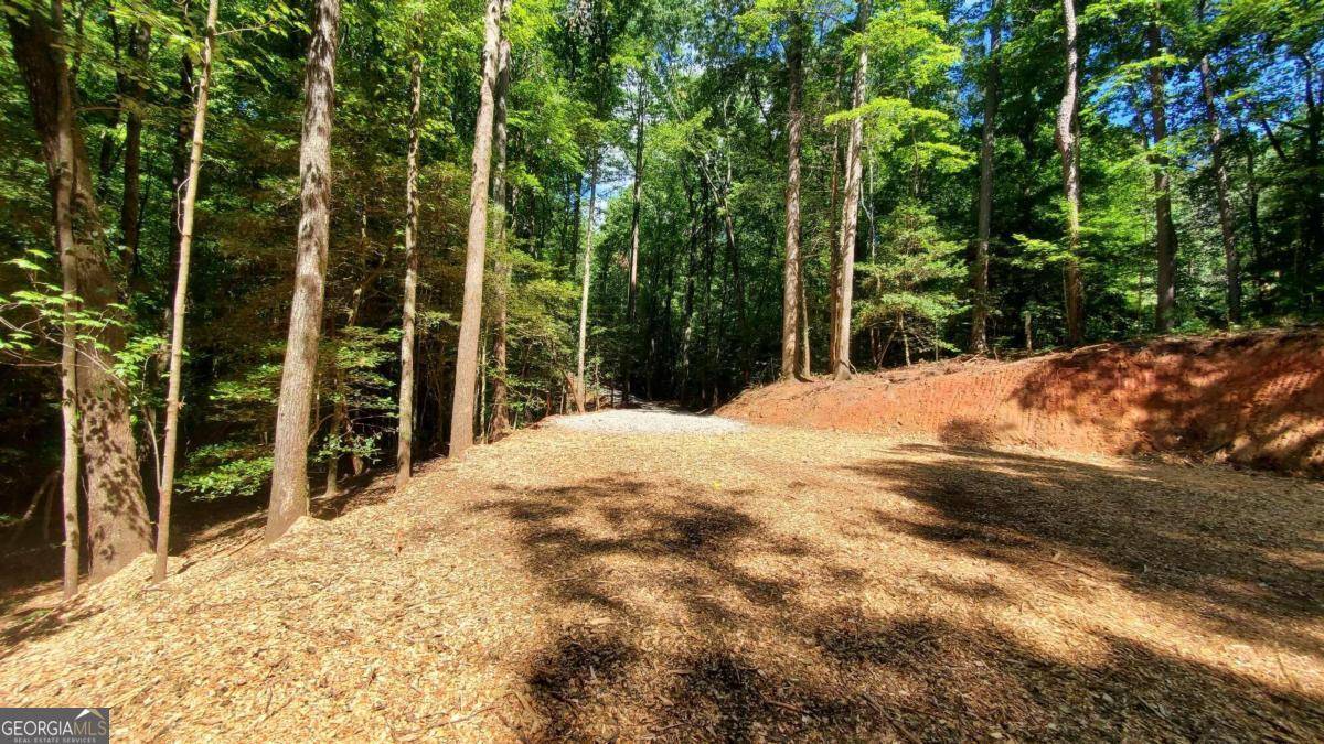 Ellijay, GA 30540,LOT 11 Old Miller Rock