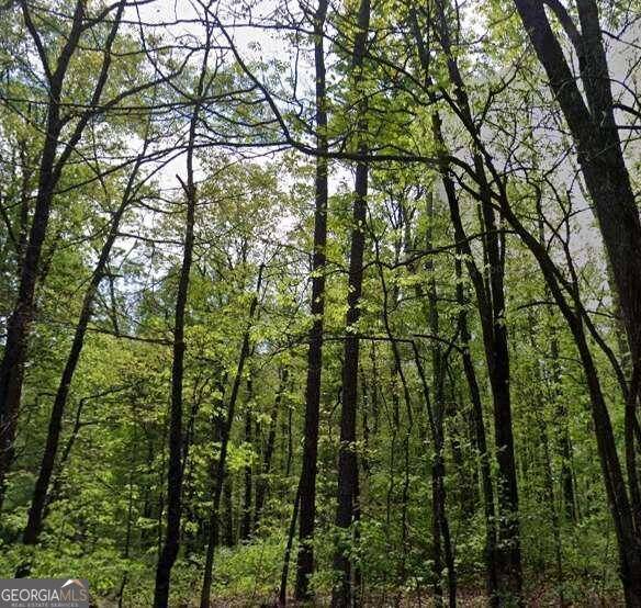 Winder, GA 30680,0 Carson Wages RD