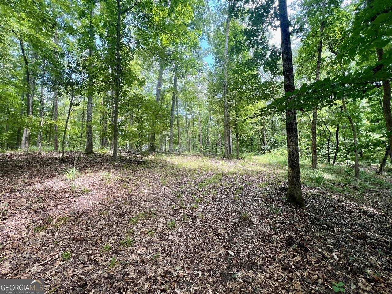 Sandersville, GA 31082,0 Plantation Dr.