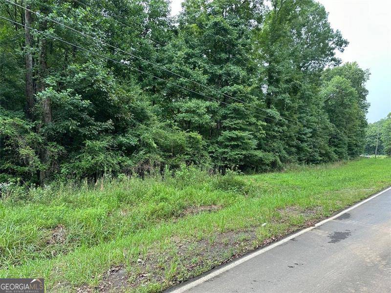 Kingston, GA 30145,0 Flowery Branch Lot 20